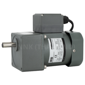 มอเตอร์เกียร์เพลาตรง (Standard Geared Motor)