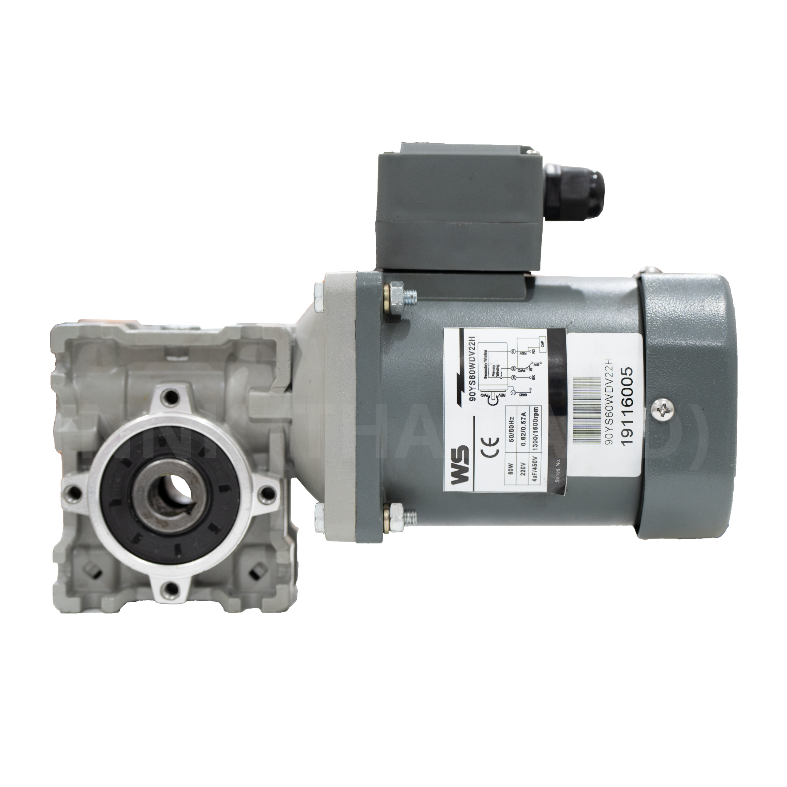 มอเตอร์เพลากลม (AC Micro Motor Round-shaft) - Image 3