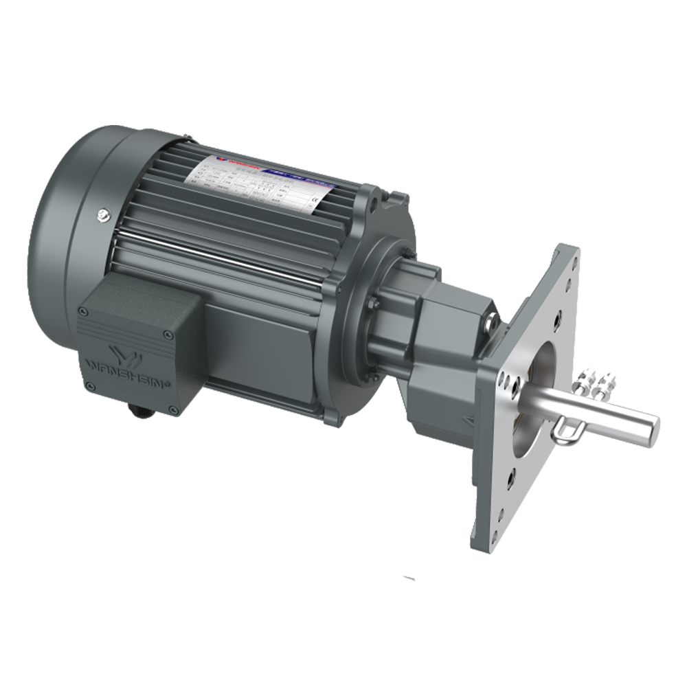 มอเตอร์เกียร์ ให้อาหารสัตว์ปีก (Poultry Farm Feeding Gear Motor)